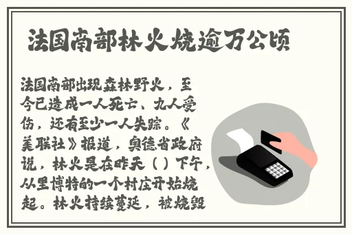 黑土腿法娴熟黄油